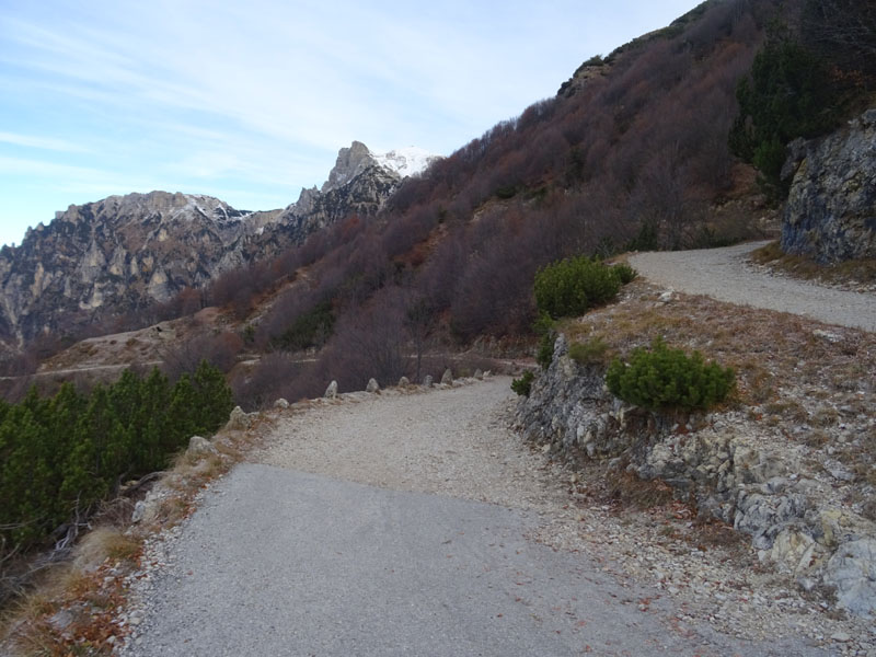 Cima Paln -Soglio dell'' Incudine.......Pasubio